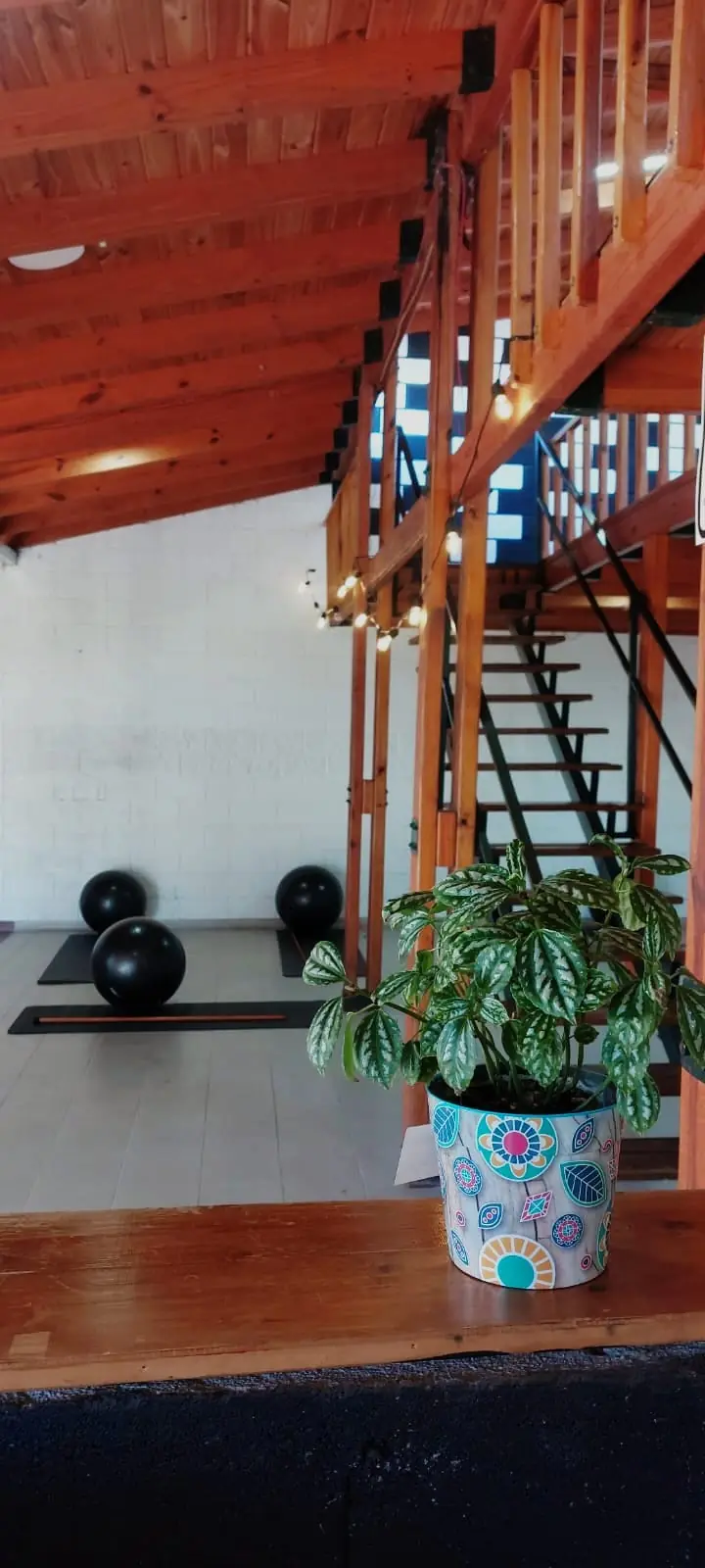 Escalera de madera y pelotas de pilates en el salón de EOS, con una planta sobre la barra de madera